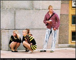 Пятачок , я нашел правильных пчёл ..