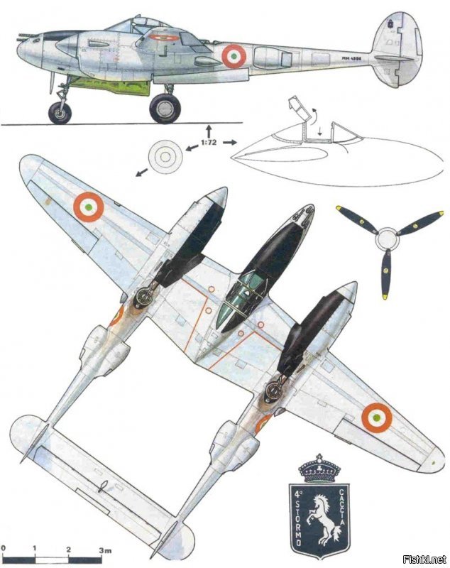 Экзюпери летал на Лайтнинге с опознавательными Свободной Франции. На нем же и погиб. И у англичан они были.... Но вот с ТК или без?