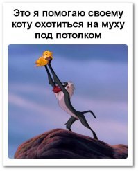Почему муха трет лапки?