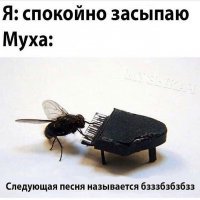 Почему муха трет лапки?