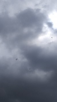 Над парком трехсотлетия СПб пару часов назад...)