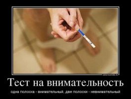 Пятничные демотиваторы