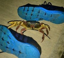 А вот так сейчас.  Я там работал.