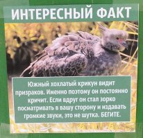Смешные таблички из зоопарков