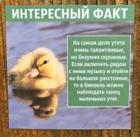 Смешные таблички из зоопарков