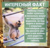 Смешные таблички из зоопарков