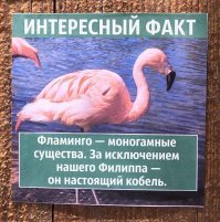 Смешные таблички из зоопарков