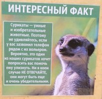 Смешные таблички из зоопарков