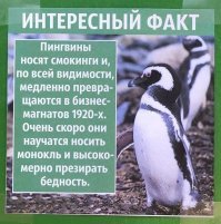 Смешные таблички из зоопарков