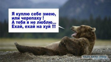 Евгений Кафельников: «Я уеду из России, если встанет выбор – либо меня посадят, либо я уезжаю»