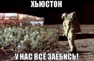 Прикольные и смешные картинки