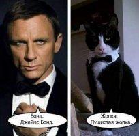 Прикольные и смешные картинки