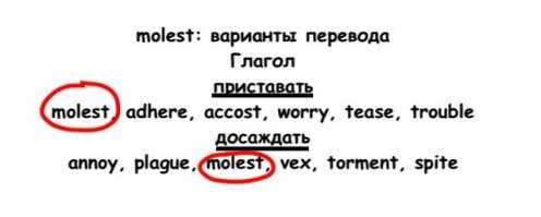 Смешные таблички из зоопарков