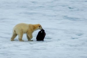 Тихо с.п.и.з.д.и.л. и ушёл называется нашёл