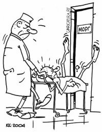 Подборка автомобильных приколов