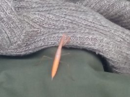 как-то на рыбалке был замечен.