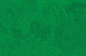 Тот момент когда нашёл 11,а тебе говорят что их там 10