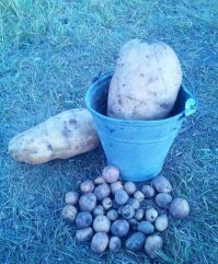 Теперь вы видели больше