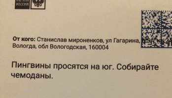 С пингвинами странный намёк , они и так живут южнее некуда