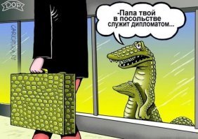 Прикольные и смешные картинки