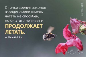 У нас на цикле аэродинамике примерно такой плакатик висел,ессно без подписи Эш.