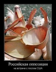 Теперь вы видели больше