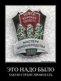 Демотиваторы