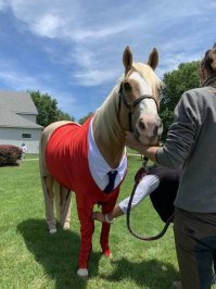 Не все кони...

.