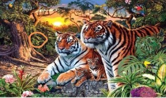 Я шестнадцатого тигра нашёл)