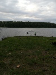 А это мои выходные)