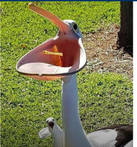 Чайка 
Это как в том анекдоте, когда медвежонок сказал бегемоту:
"Эх, таким бы е***лом, да медка хлебнуть"