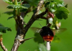 Добавлю свое фото...
