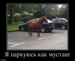 Картинки с надписями