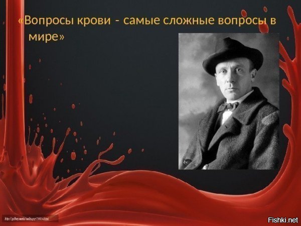 Прикольные и смешные картинки