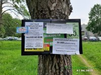 Частный компьютерный мастер переустановит венду столько, сколько пожелает заказчица. :)