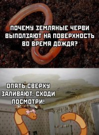 Почему, почему... Недавно же ответ постили.