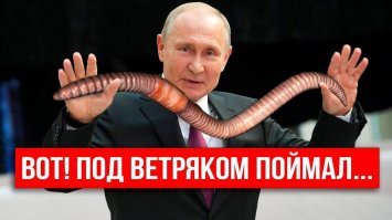 Глупый вопрос, они выползают потому, что ветряки вибрируют.