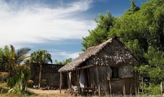 Какие разводы, если и так все друг с другом пере.е.б.л.и.с.ь?