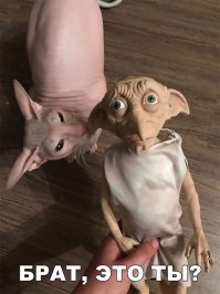 Топ-15 фактов о Гарри Поттере, которые сшибут вас с метлы