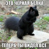 Комменты жгут: 15 раз, когда искрометные замечания пользователей оказались круче постов