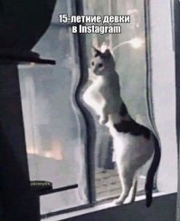 Почему у верблюда горб?