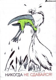 Вот - никогда не сдавайся!