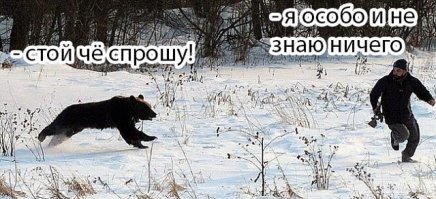 Любопытный медвежонок  разбудил отдыхающих на пляже мужчин