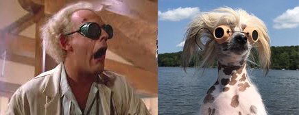 Антистресс-фото, с просмотра которых стоит начать заведомо фиговый день