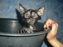 Так оно и есть