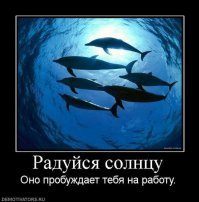 как быть полярникам?