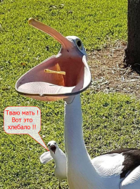 Теперь вы видели больше