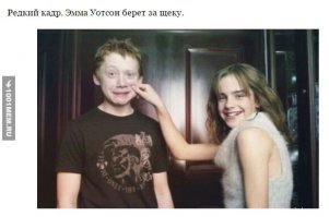 Топ-15 фактов о Гарри Поттере, которые сшибут вас с метлы