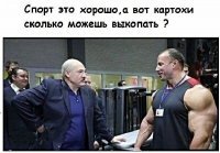 Вот все шутят и шутят про картоху. Месяц назад ездил в Беларусь на машине, от границы с Россией до Минска все поля - пшеница!!! Только 2 поля... с кукурузой. Где КАРТОХА???