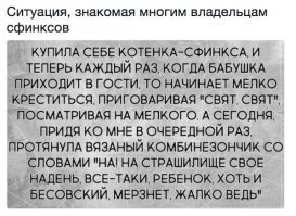 Как гладить "это"? Я попробовал, не скользит рука, надо придерживать за голову... Да и чувство отвратное...